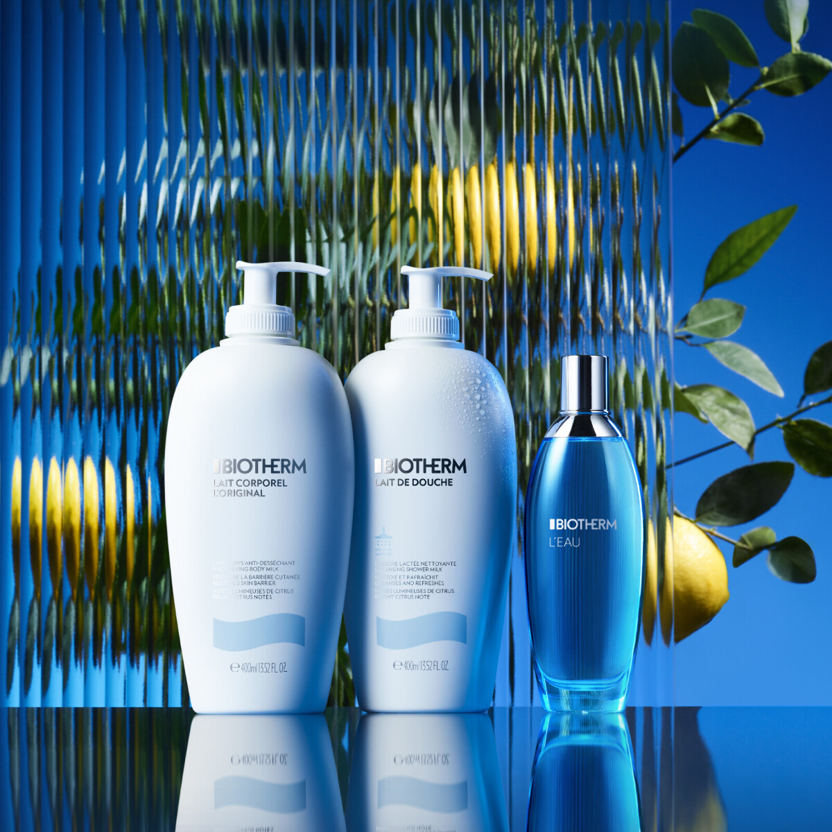 Lait Corporel Moisturizing Body Lotion